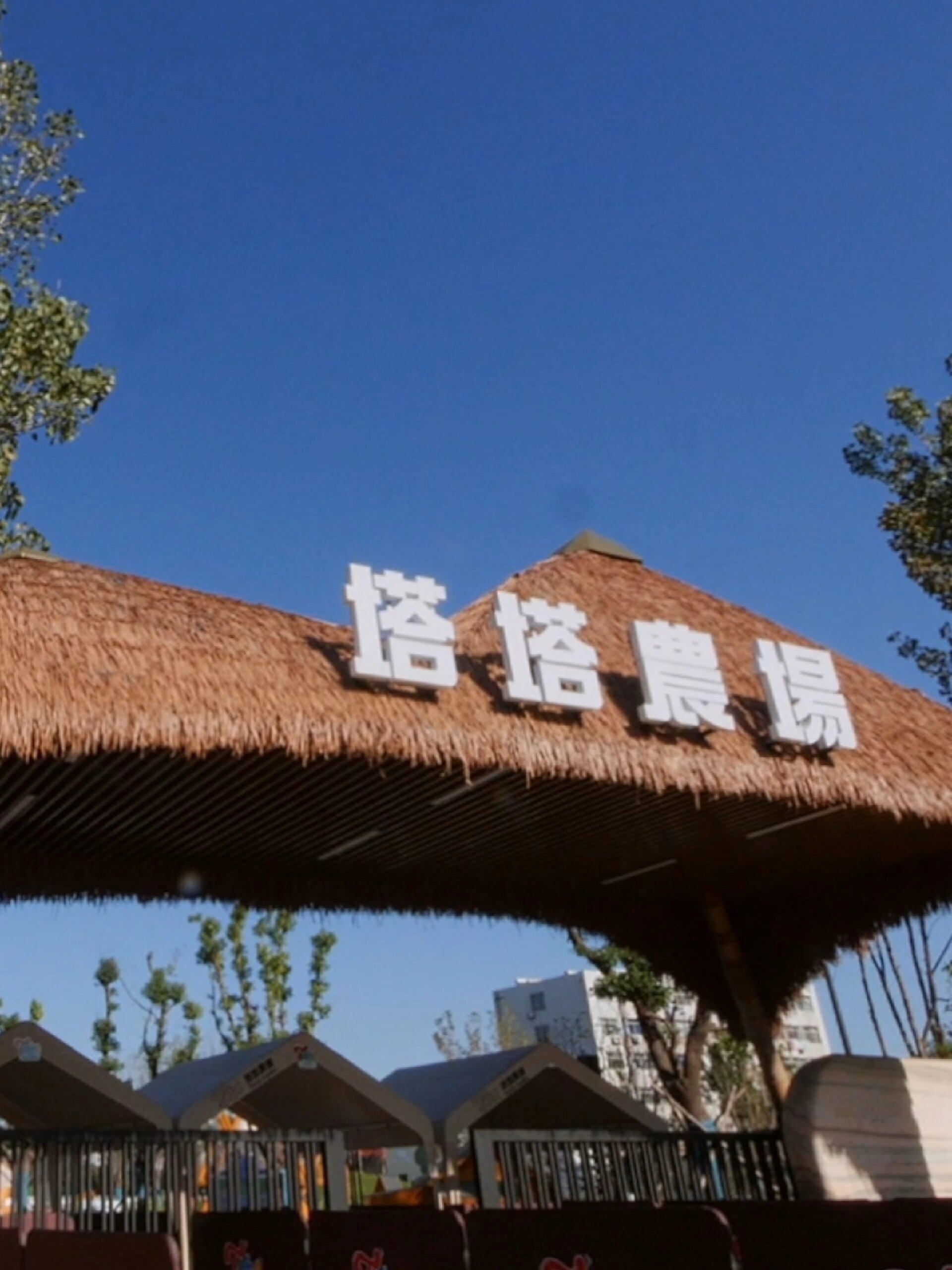 连云港塔塔农场来啦!