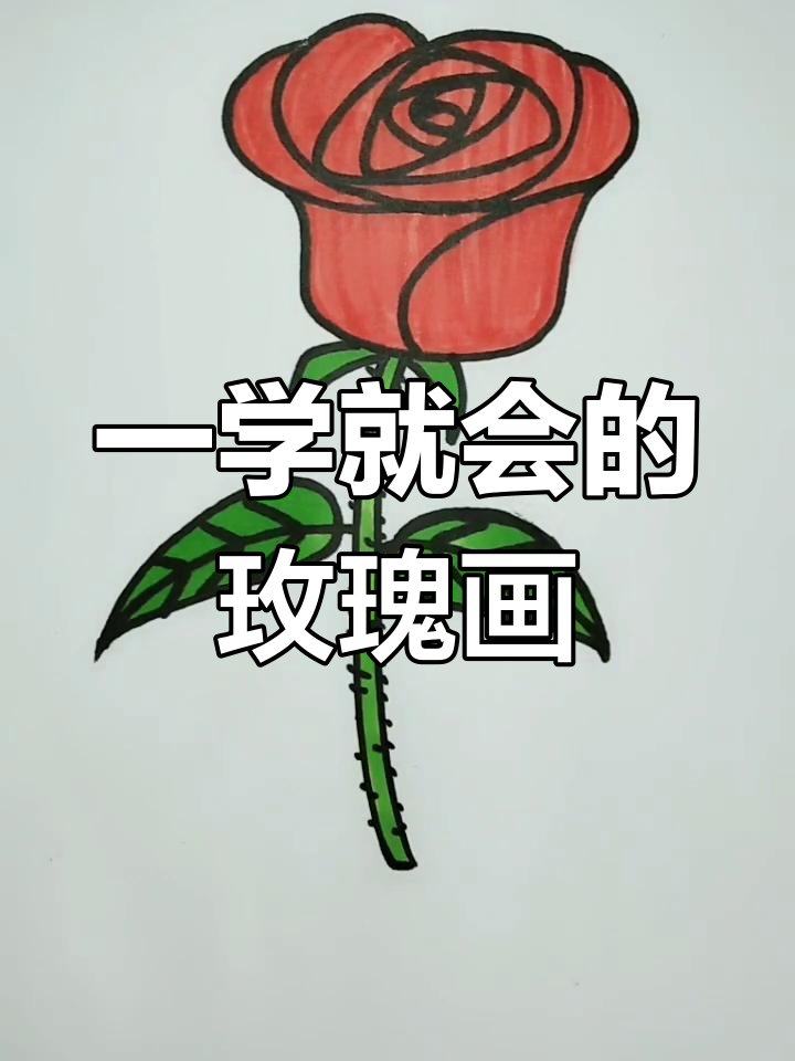 玫瑰的画法步骤图片