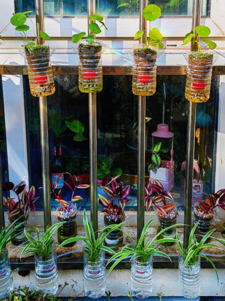 矿泉水瓶子制作花盆,废物利用美美哒