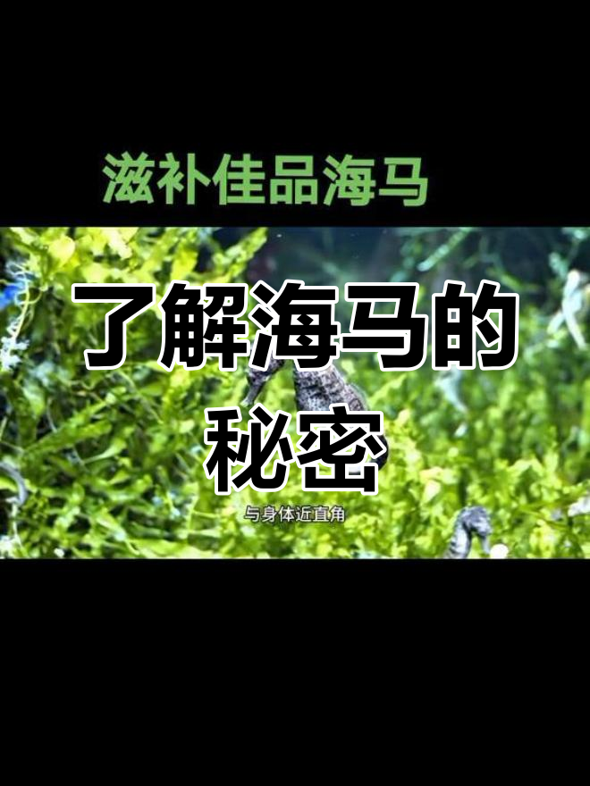 关于神奇海洋6.9答案:会进行夏眠的海洋动物是的信息