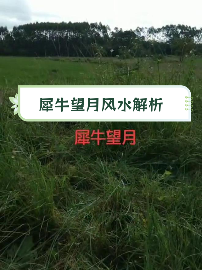 犀牛望月地形分析,吉度与水势走向