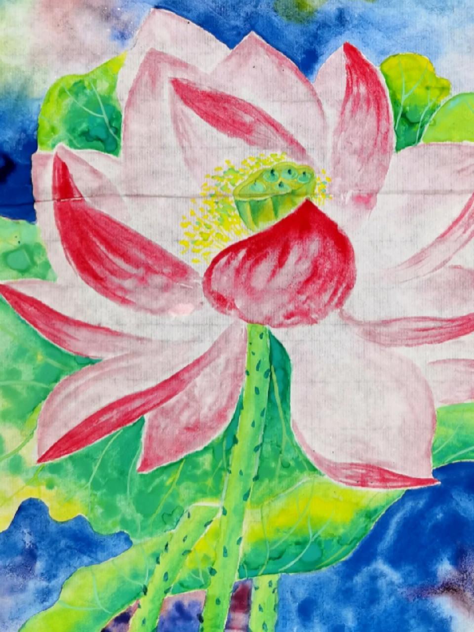 绘画练习日常 出水芙蓉图 荷花