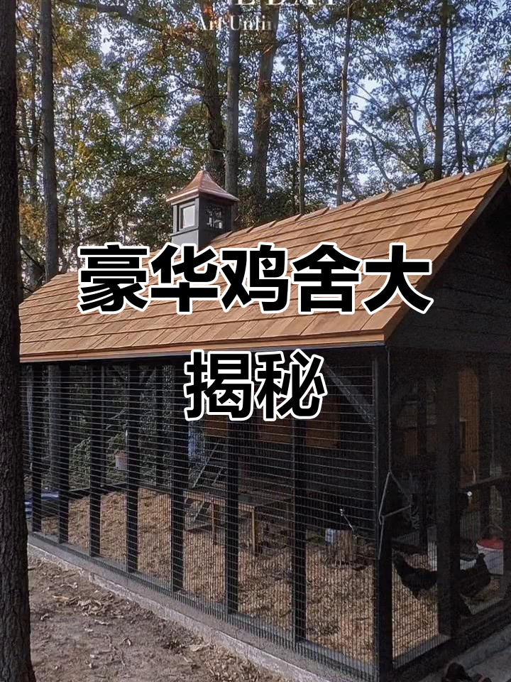 这可能是最奢华的鸡舍,简直让人惊掉下巴!