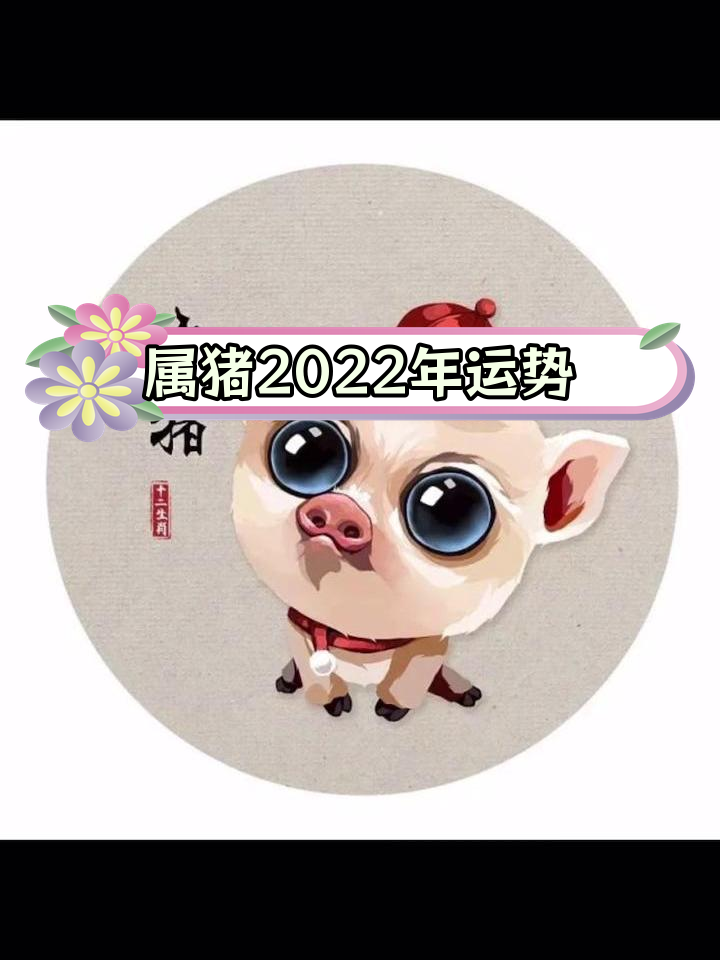 生肖属猪今日运势如何(属猪的今日运势和财运神巴巴)