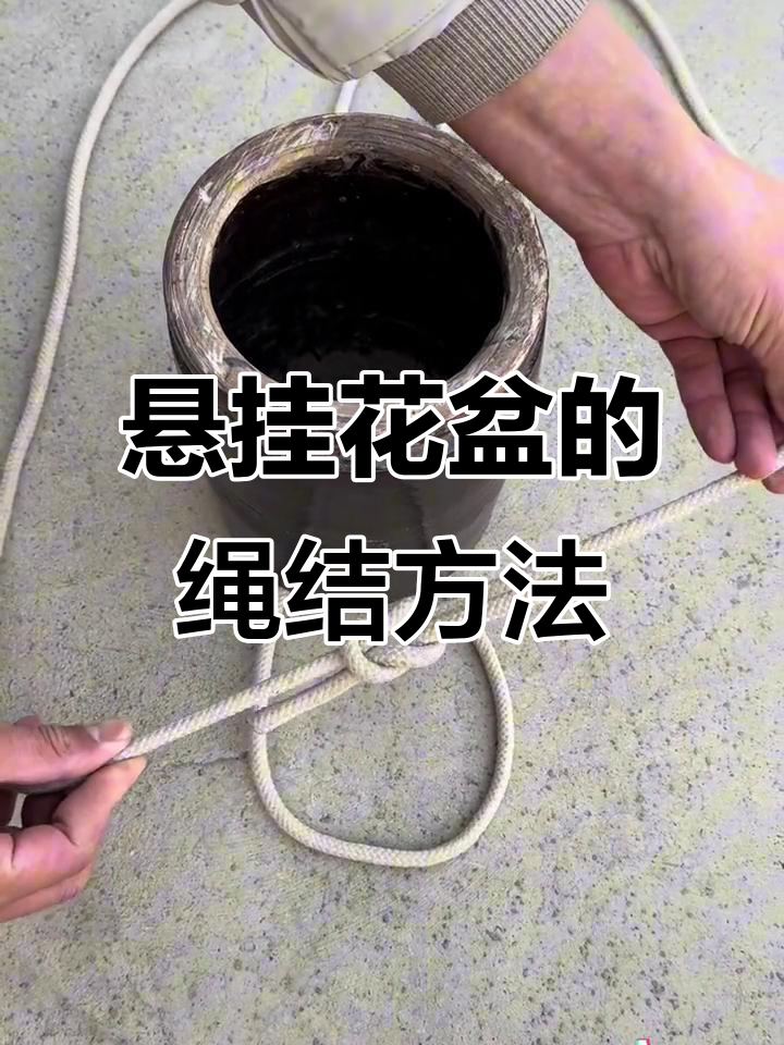 轻松打造悬挂花盆,绳结技巧大公开