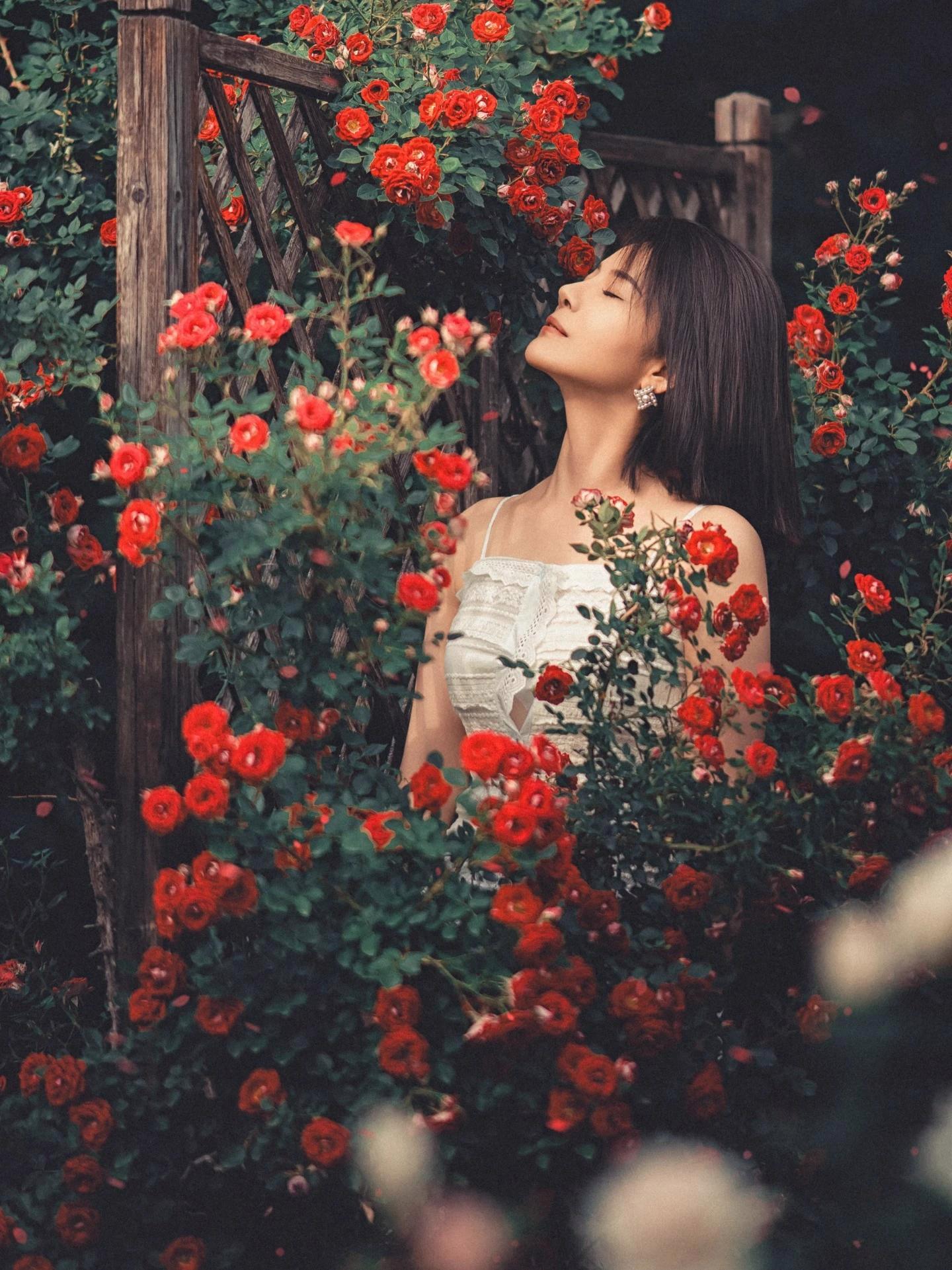 复古油画风唯美写真"初夏的蔷薇花" :李梓源 侯玉森艺术写真 人像摄影