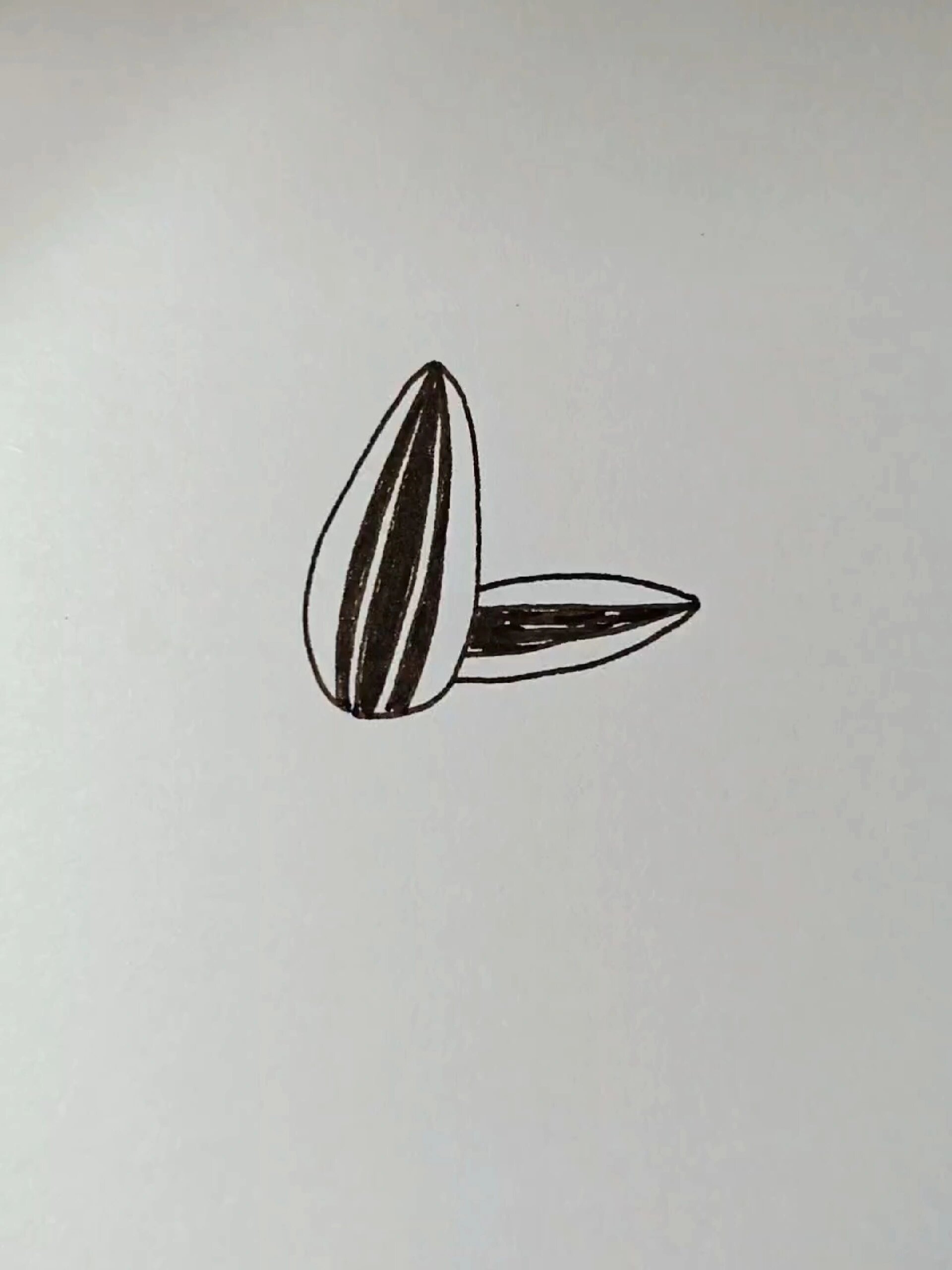 瓜子简笔画,三秒学会!