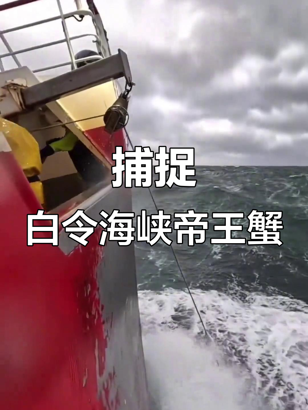 白令海峡帝王蟹大捕捞,bgm一响气氛全到位!