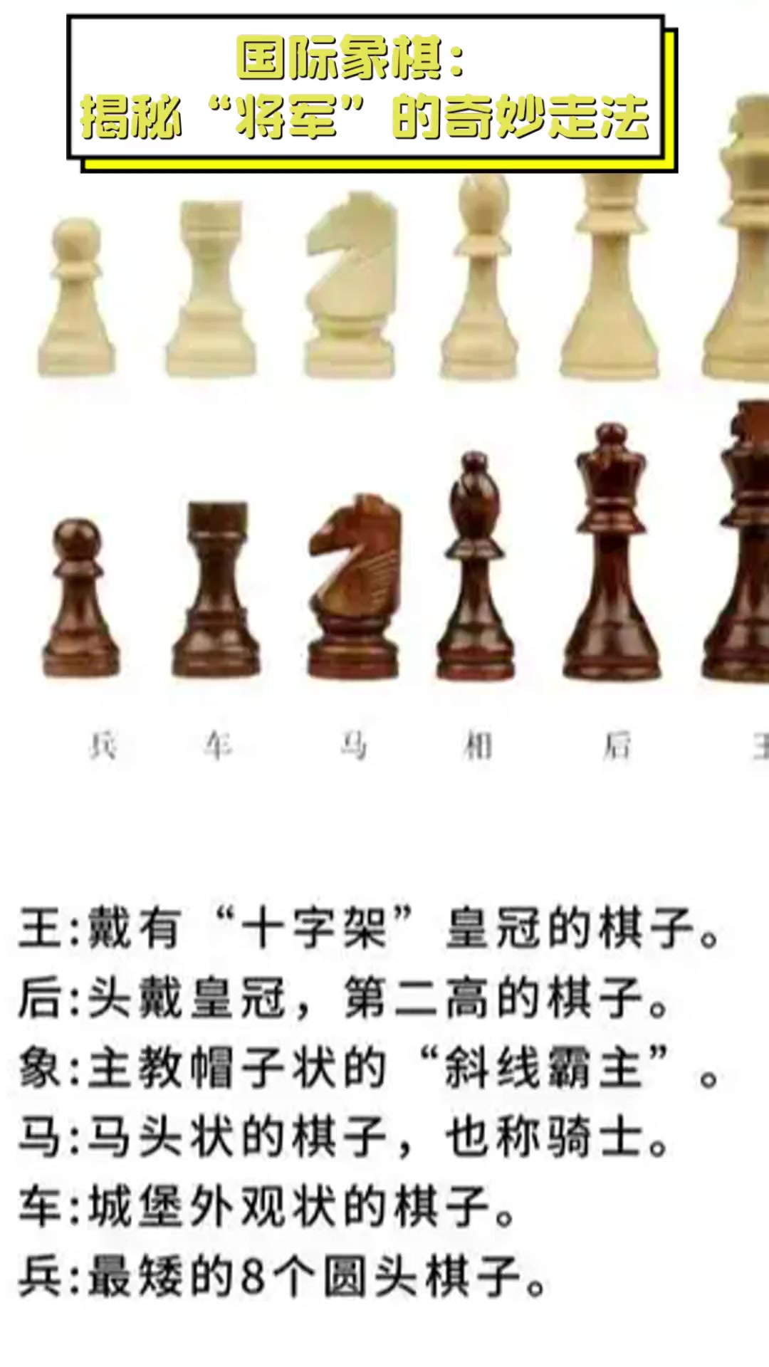 王频国际象棋图片