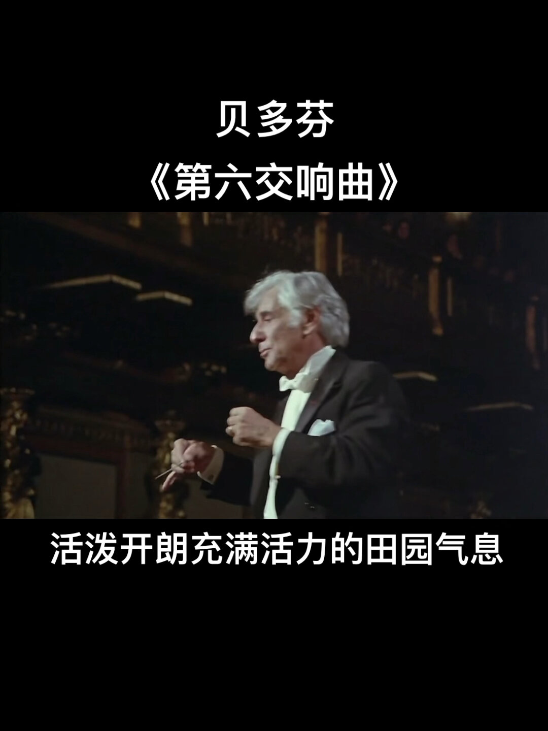 活泼开朗而充满活力的田园交响曲