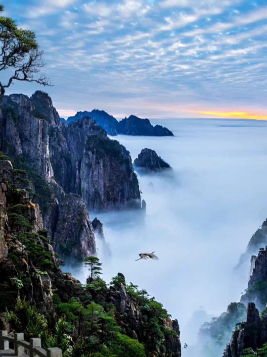 有些风景光是遇见,就是上上签.黄山云海,知你喜欢.