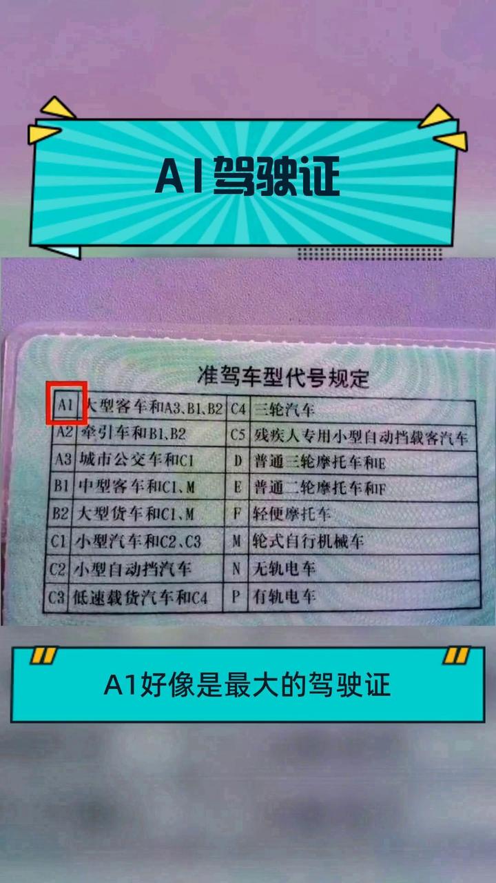 a1驾驶证