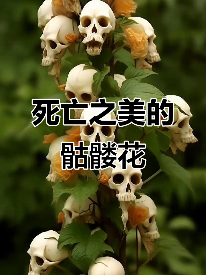骷髅花:神秘与死亡的美丽碰撞