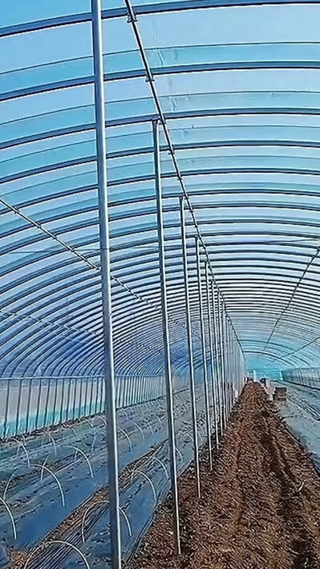 热镀锌钢管养殖大棚 覆盖配件安装