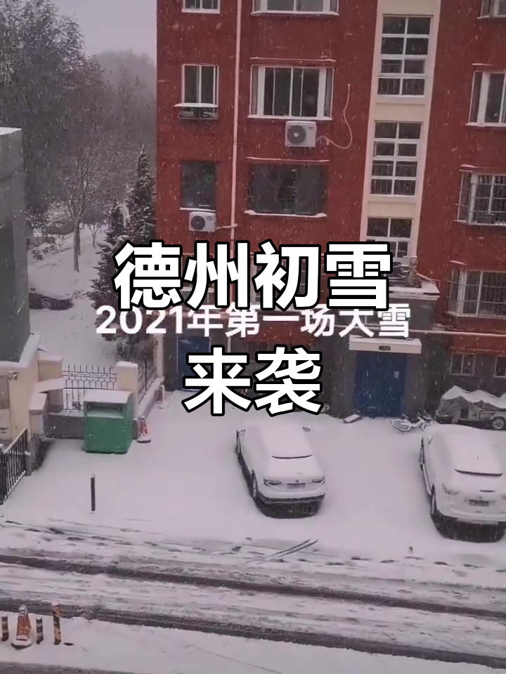 德州迎来2021年第一场大雪,雪景美不胜收