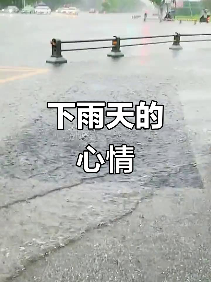 终于下雨了,心情大好!