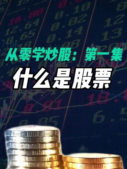 教小白炒股(小白学炒股视频全集动画)