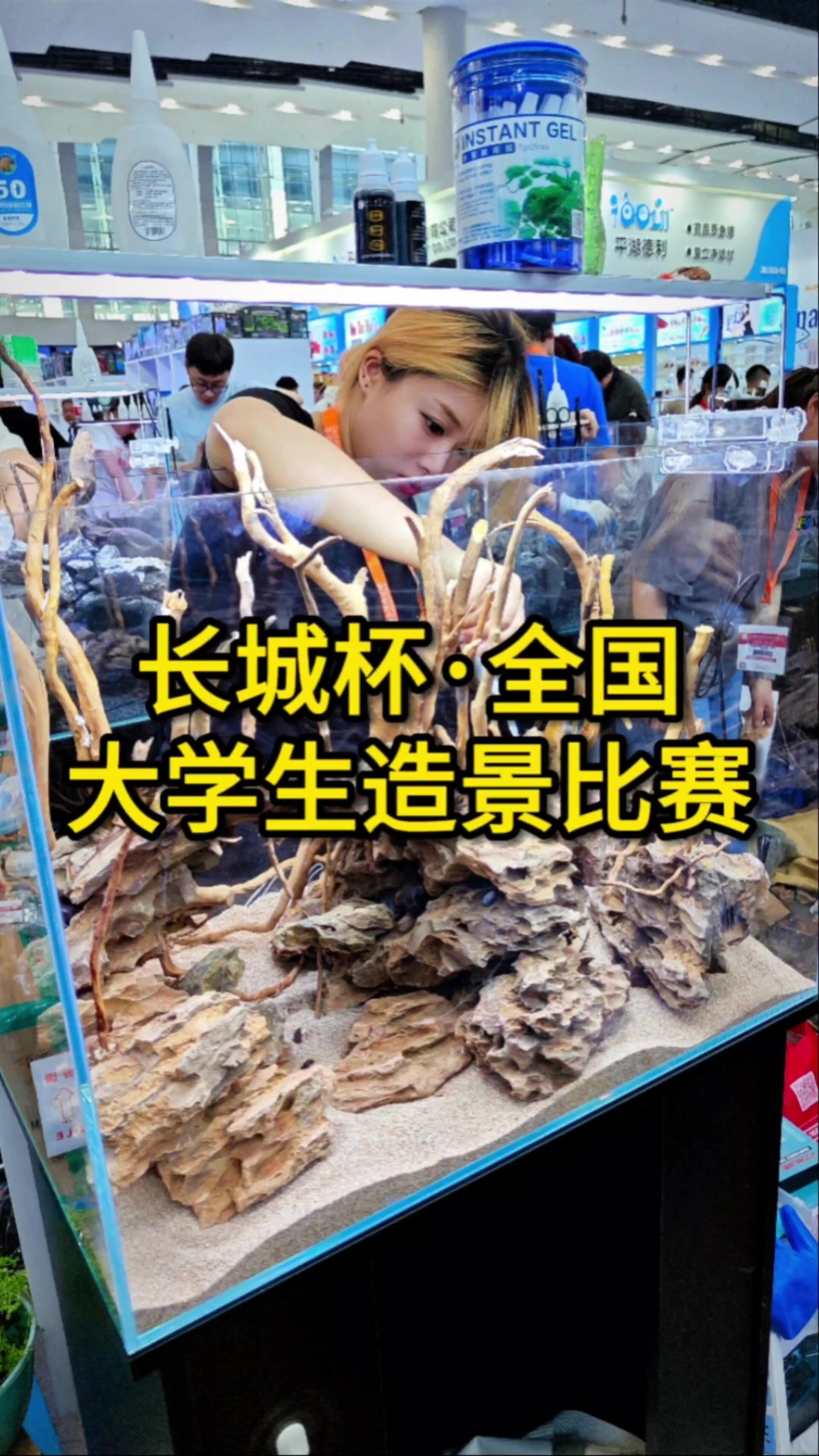 大学生鱼缸造景比赛,欣赏下前三名作品