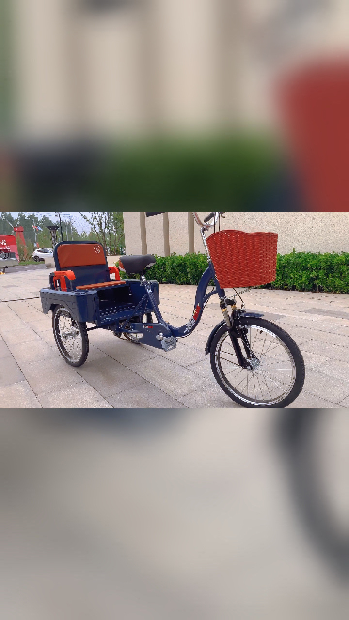 人力三轮老年人出门必入脚蹬三轮车拉货带人