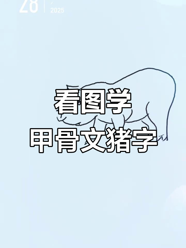 甲骨文猪字解析,看图识字更有趣