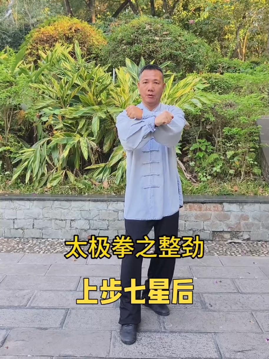 养生太极拳教学视频完整版大全(养生太极拳教学视频完整版大全下载)