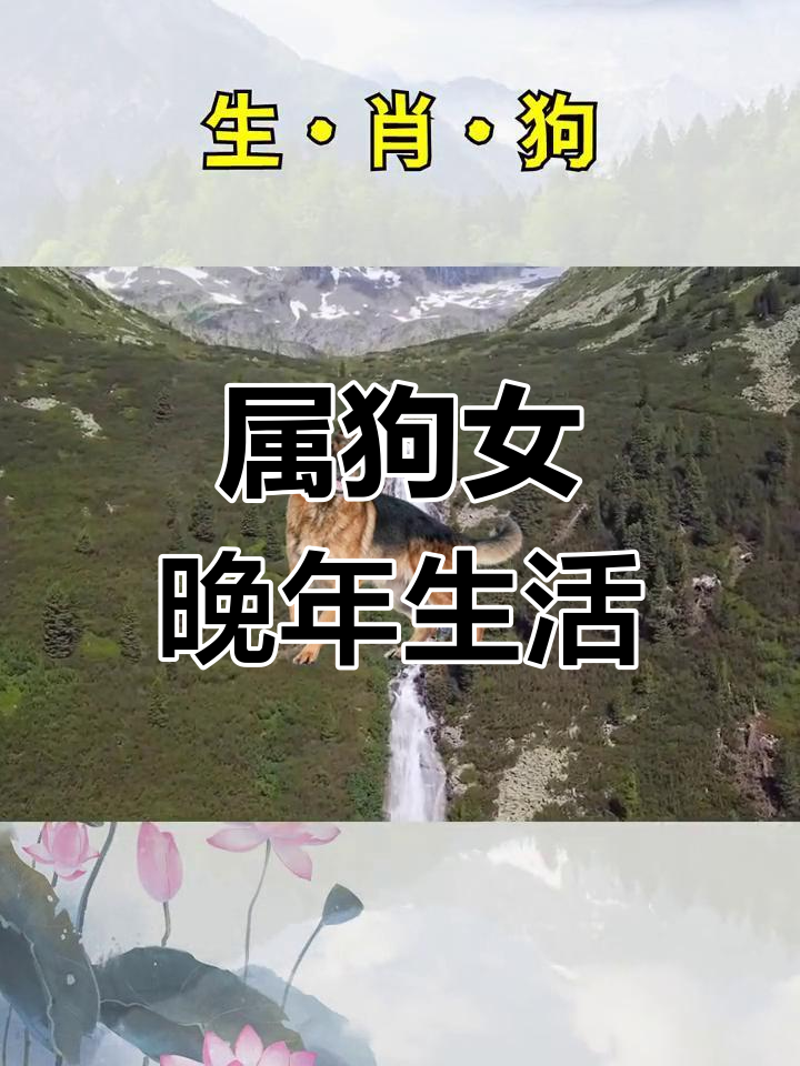 生肖狗女运势及运程详解(生肖狗女运势及运程详解视频)