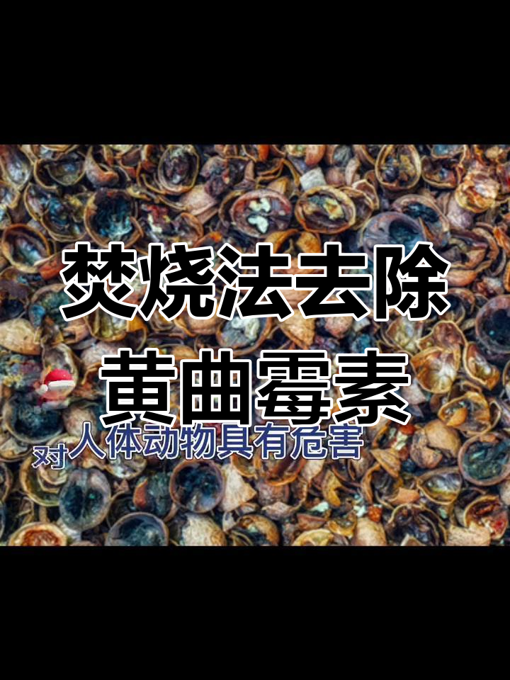 如何安全焚烧发霉核桃,消灭黄曲霉素