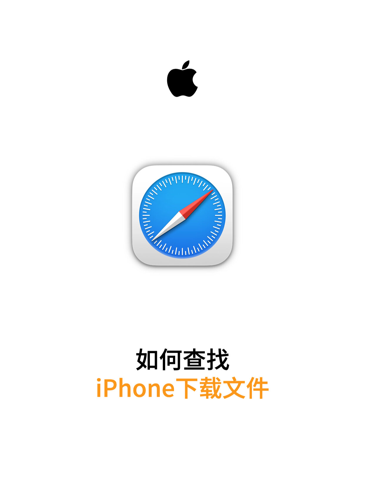 safari网站入口=safari safari