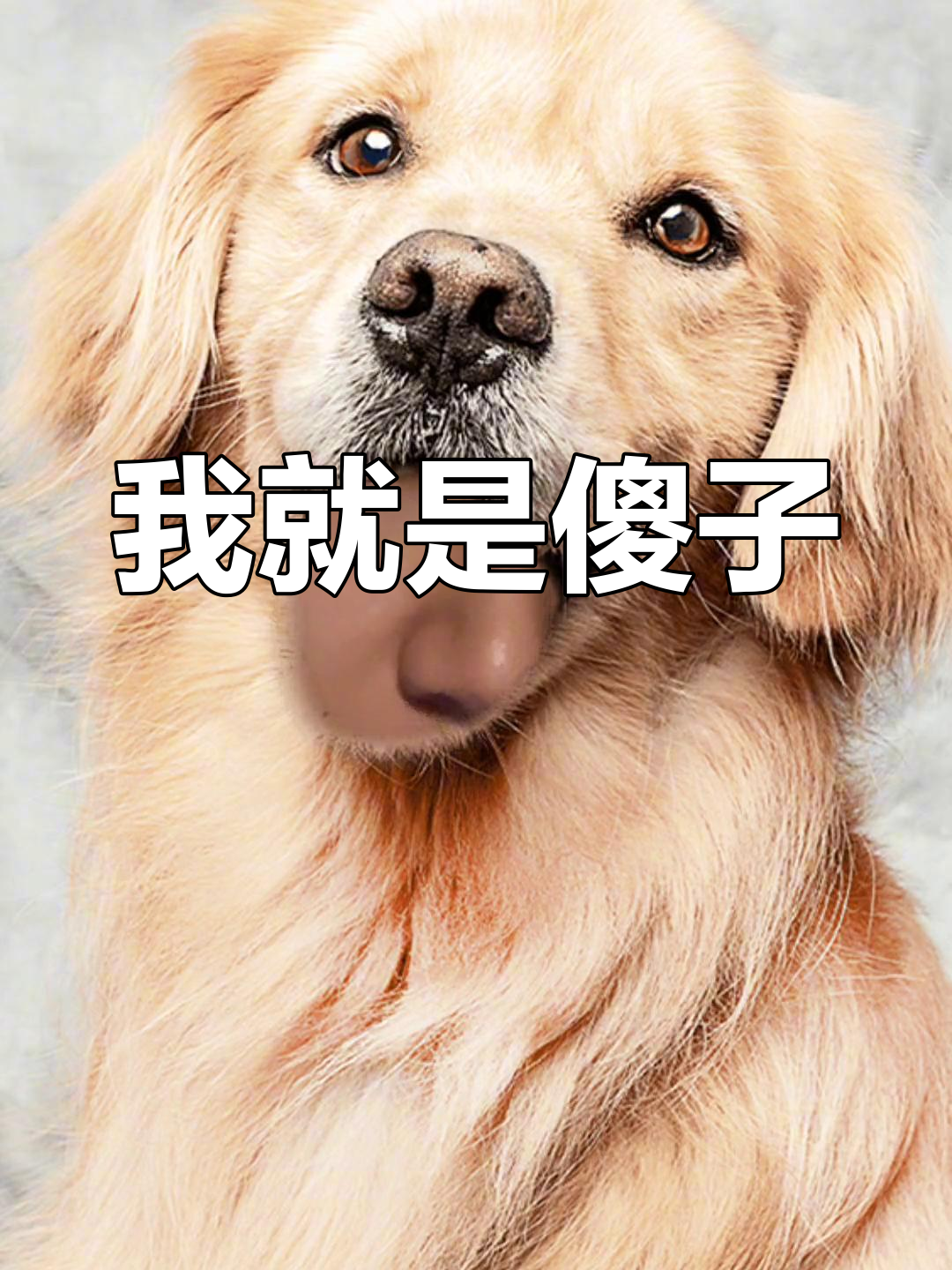 我是个傻子,但我爱自己