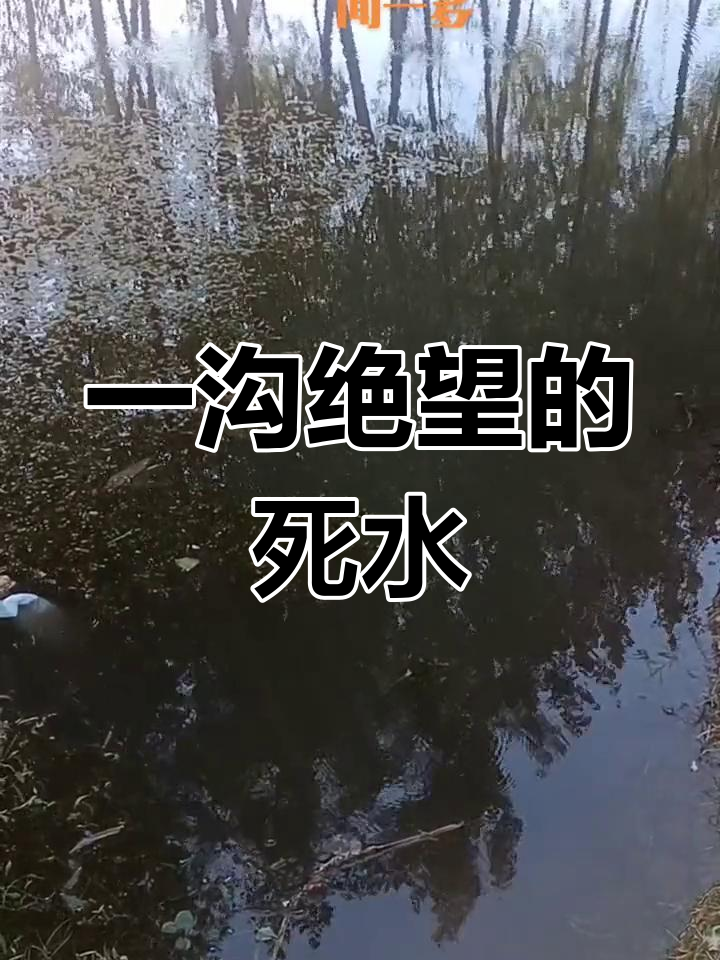 绝望中的希望:死水的力量