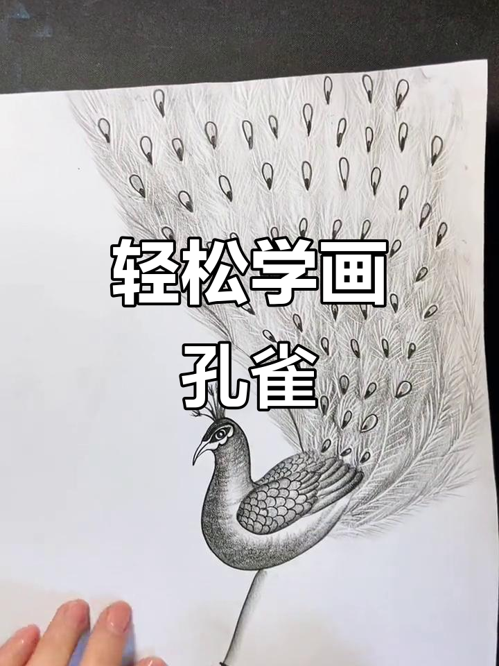 零基础也能画出孔雀开屏,简单又有趣