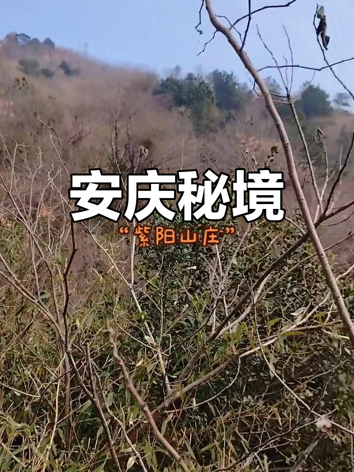 紫阳山庄,安庆山脊的幽静之地