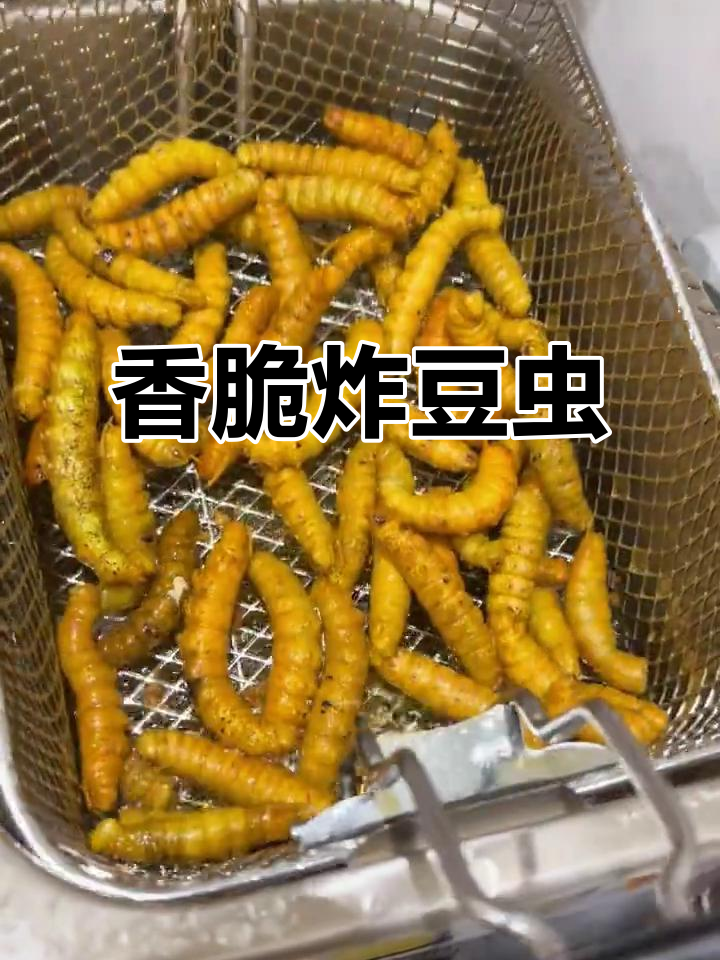 炸豆虫的独特美味,外酥内嫩让人停不下来
