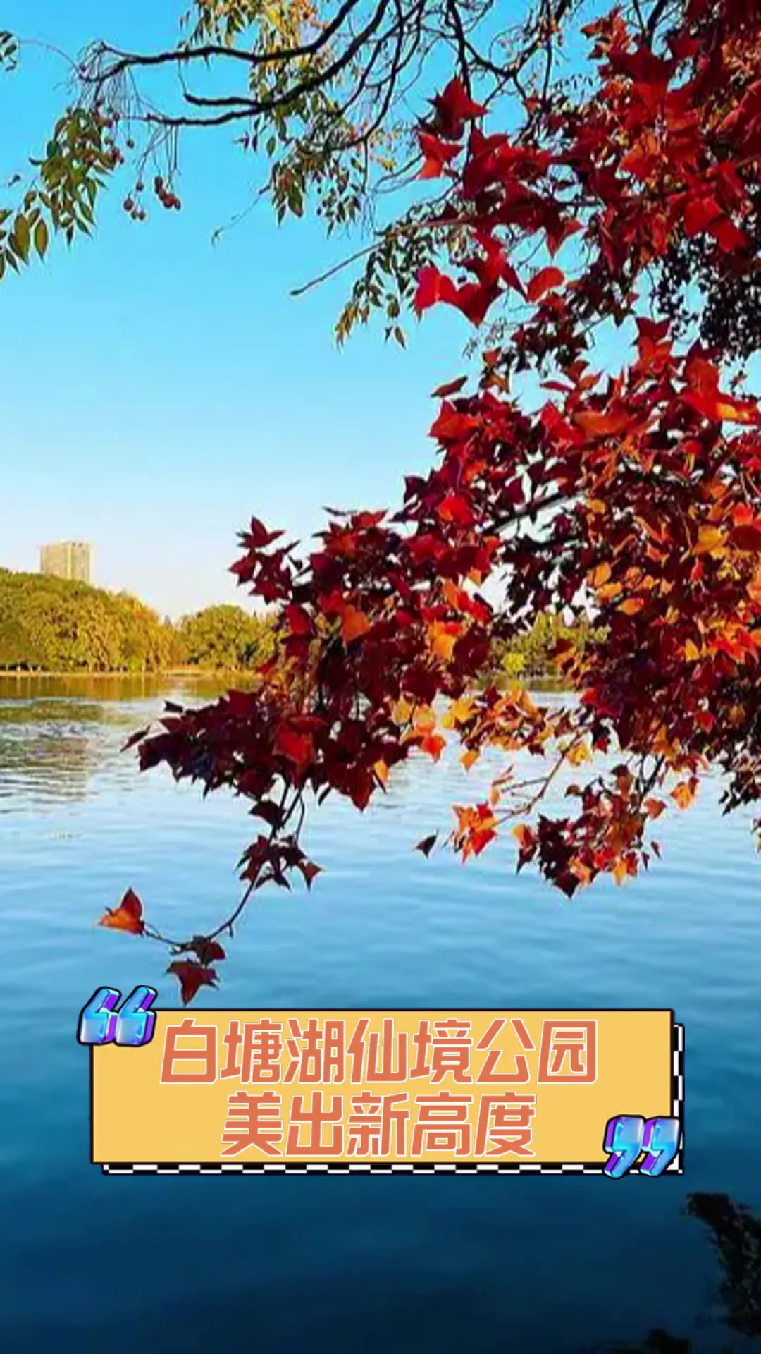 白塘湖公园介绍图片