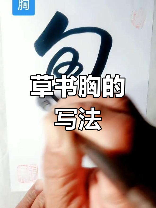 胸字草书图片