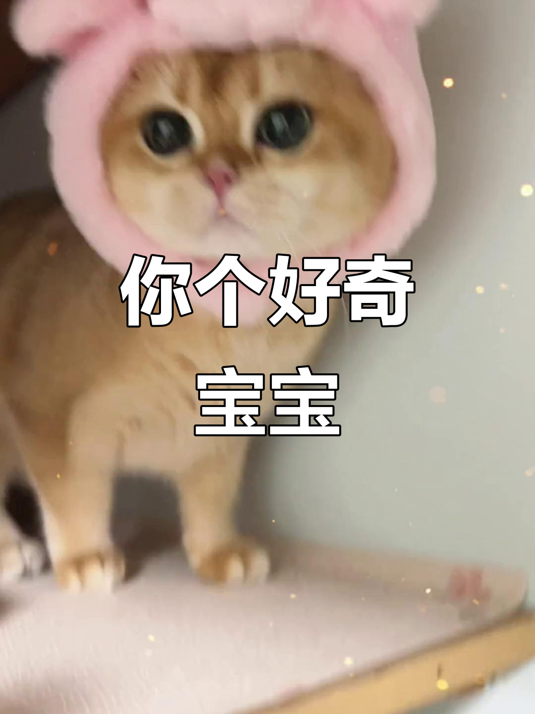 好奇宝宝不停问,真是太可爱了!