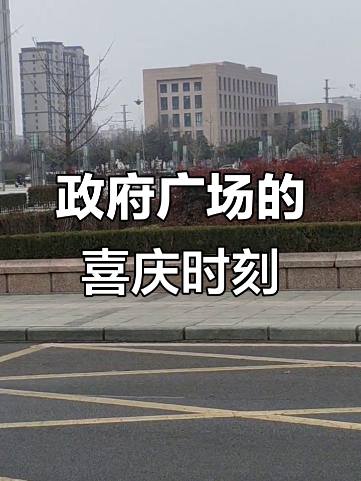 单县政府广场喜庆氛围,新娘与喜鹊共舞