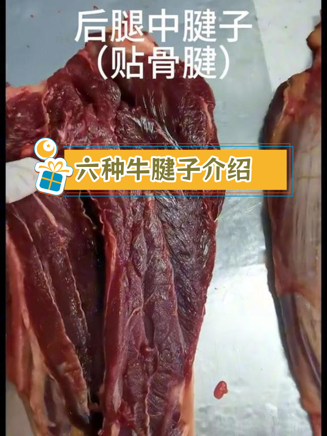 牛腱子肉全解析:六种类型详解