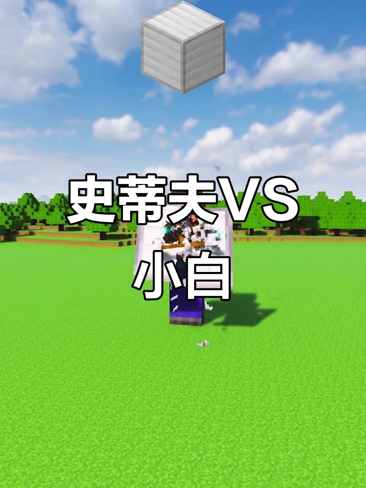 史蒂夫挑战小白,谁才是真正的"我的世界"之王?