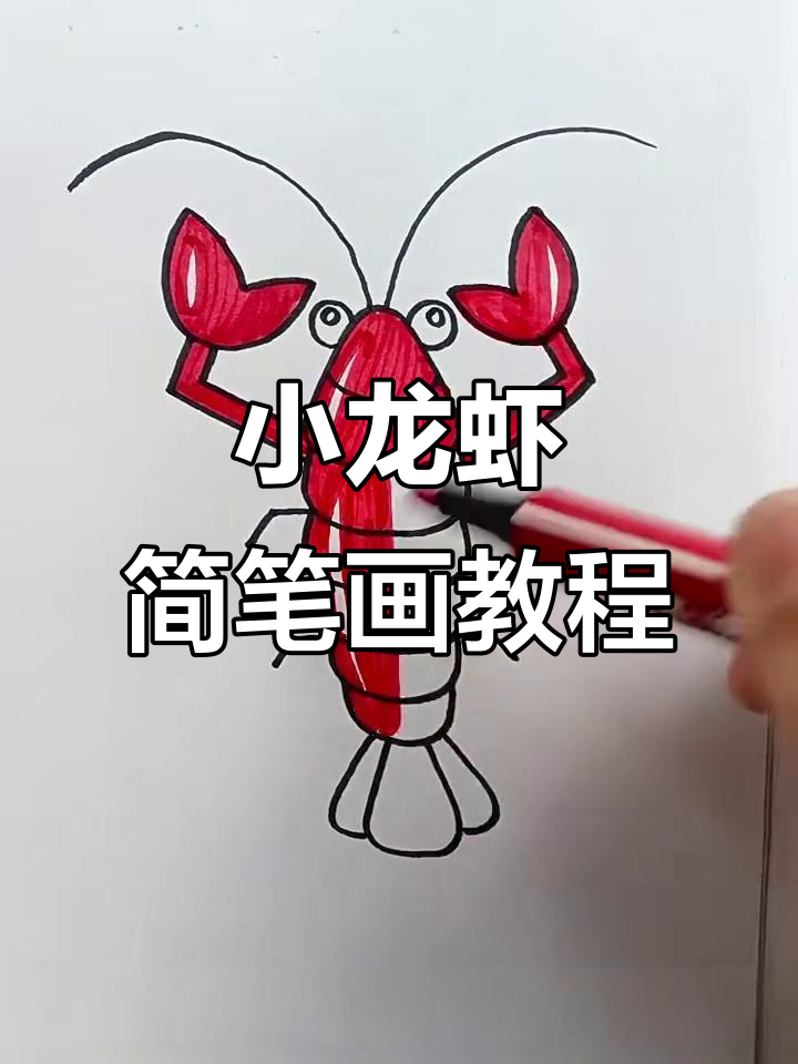 简单步骤教你画小龙虾,轻松搞定!