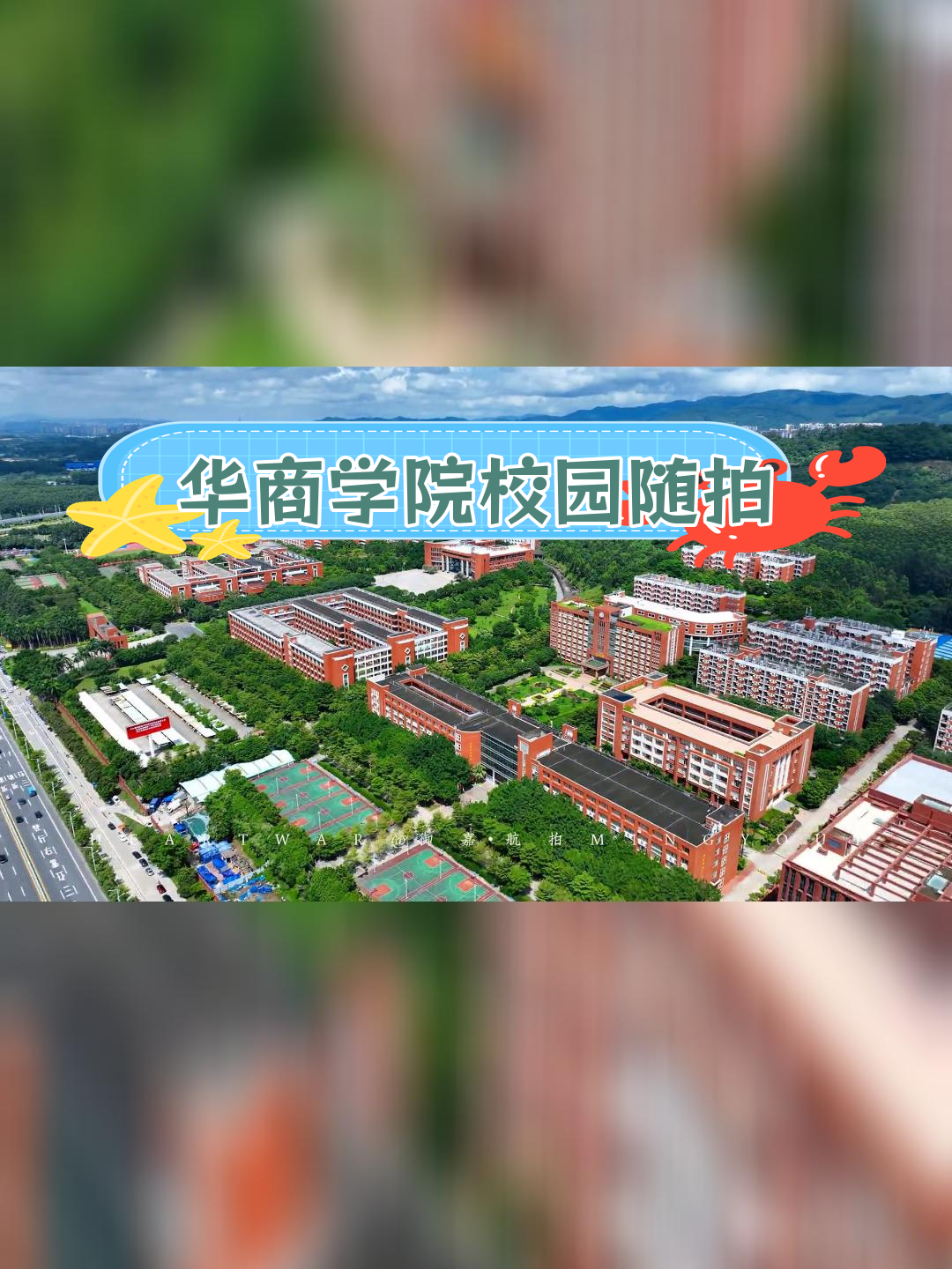 华商学院鸟瞰图图片