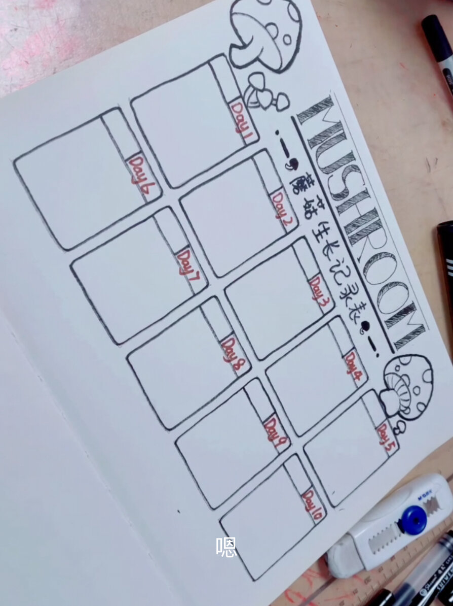 手绘蘑菇生长记录表