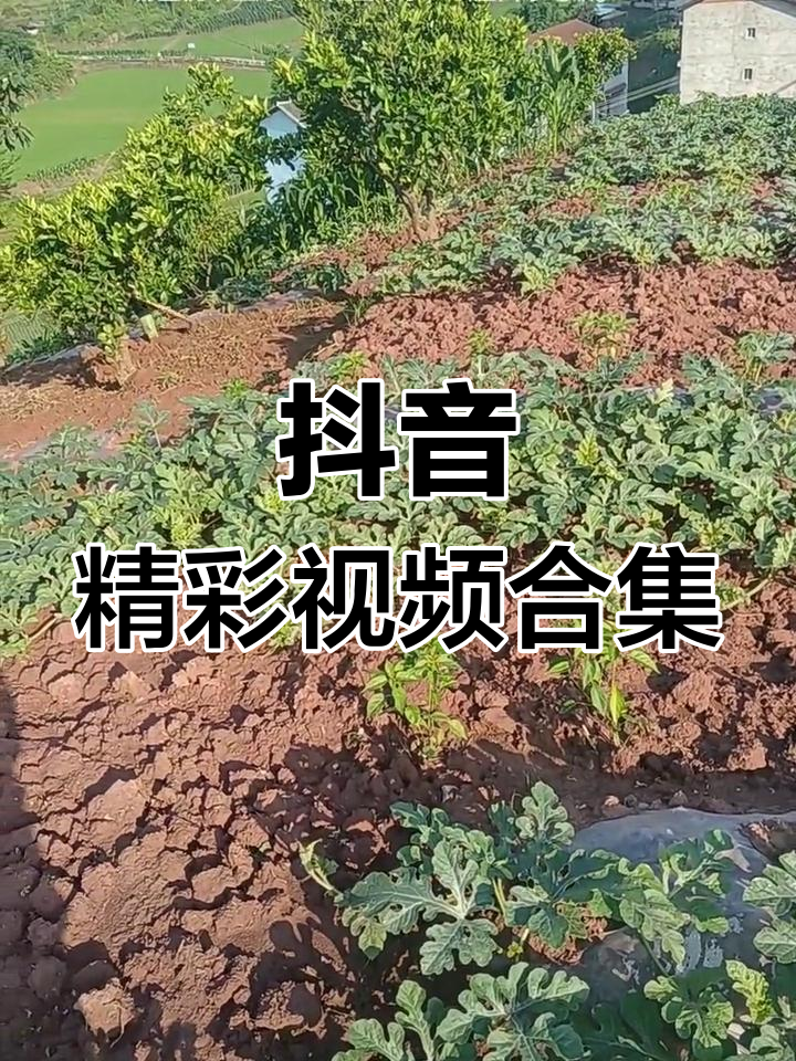 短视频分享抖音=抖音短视频如何分享给抖音好友