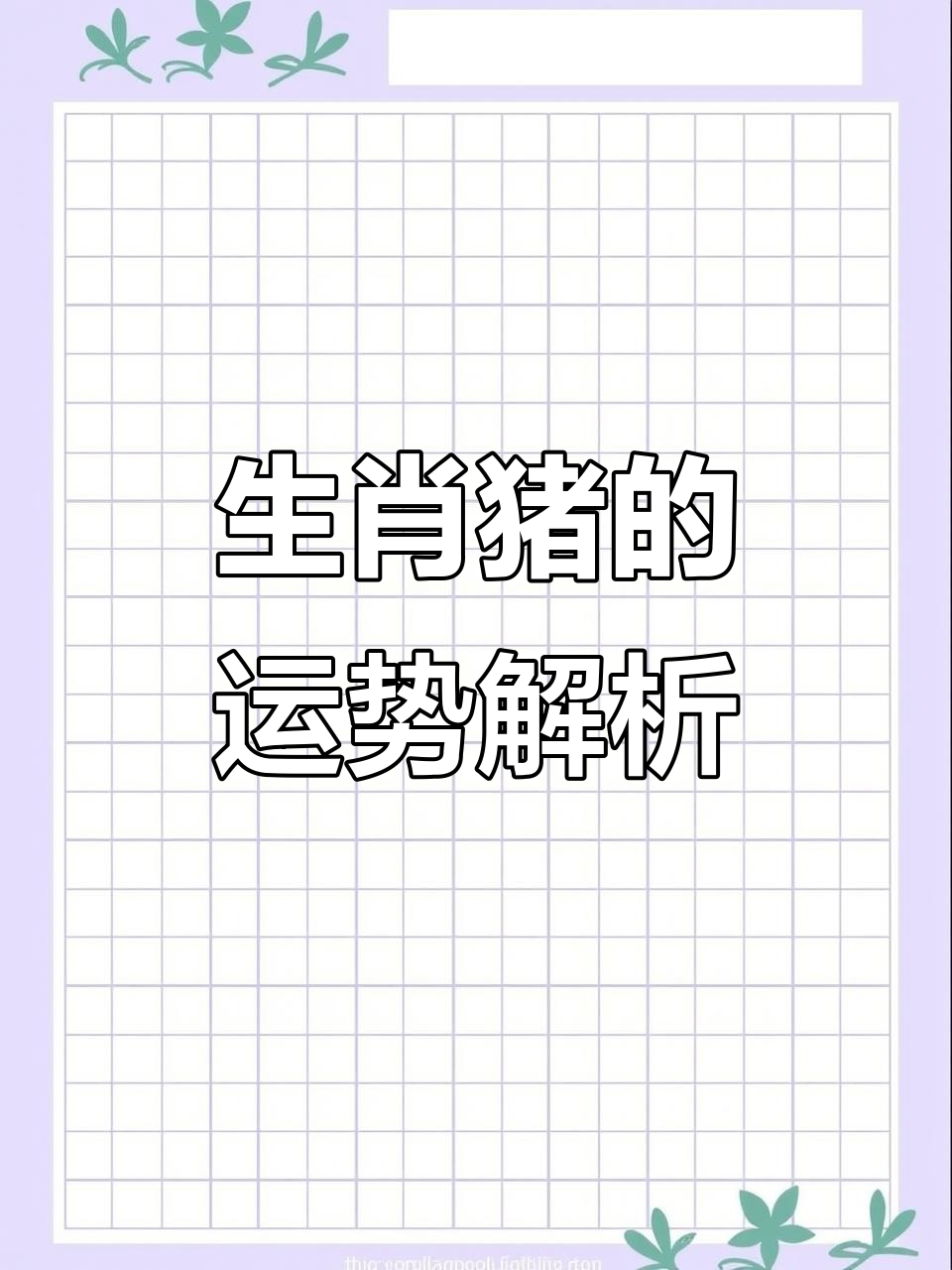 未来两月生肖猪运势(2021年属猪2月份财运)