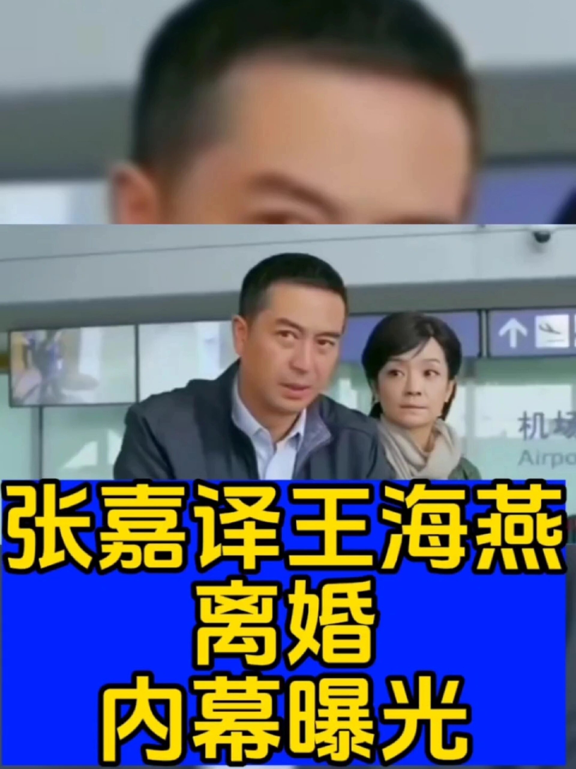 张嘉译王海燕离婚内幕让人震惊