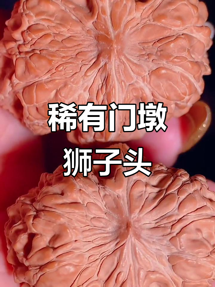 少见大元宝型门墩狮子头,文玩核桃中的珍品