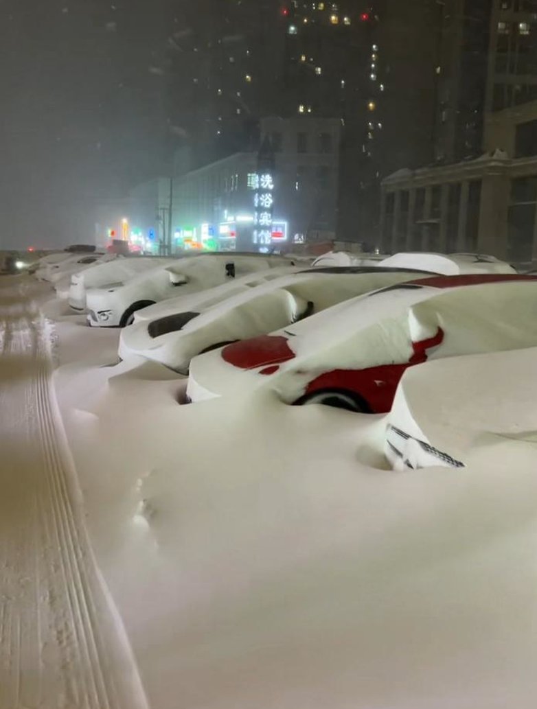 哈尔滨暴雪后"开盲盒式"找车,拍摄者:第一天还能见着车牌,第二天车牌