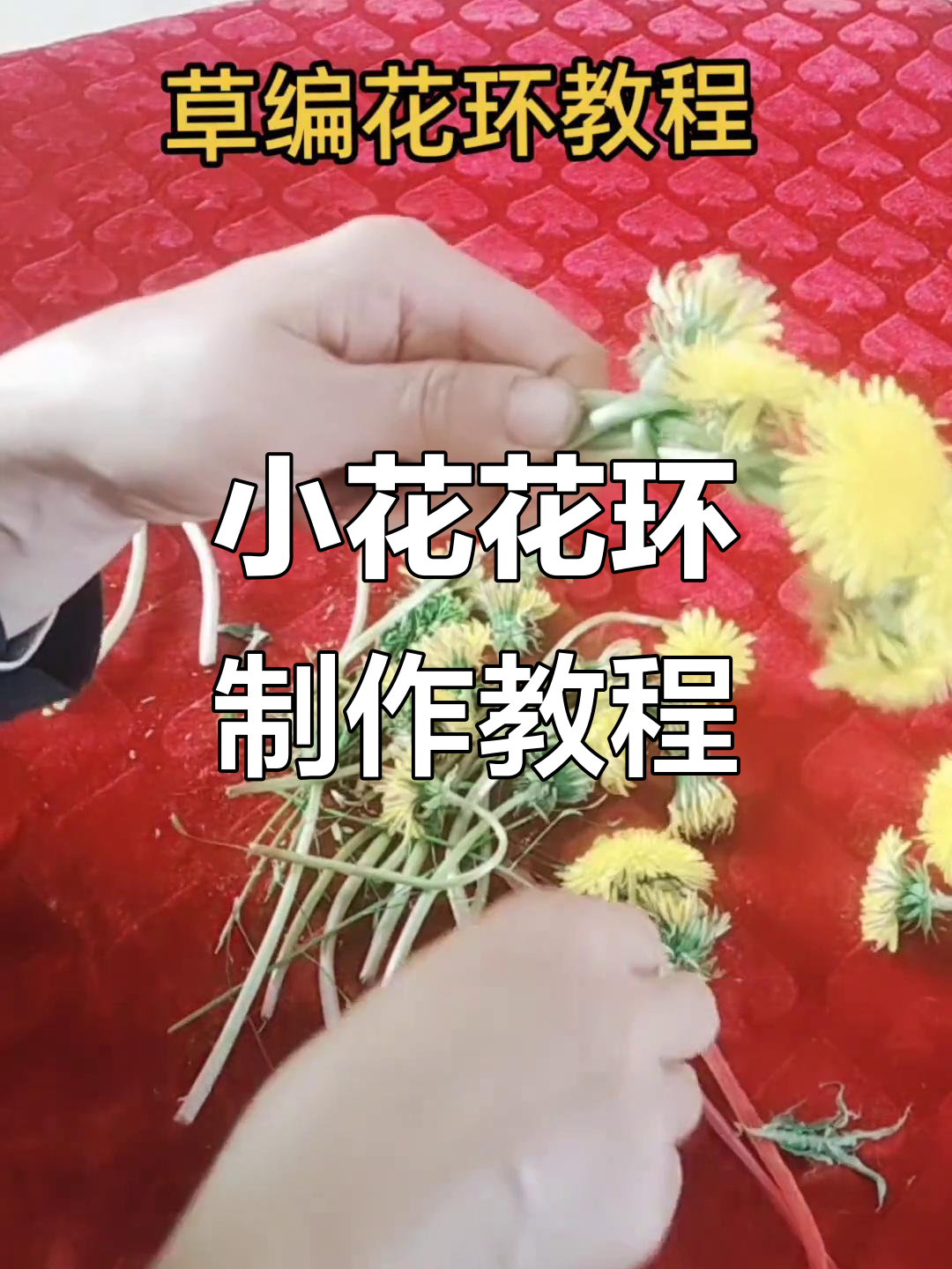用小花环编织美丽,简单步骤教你做花环