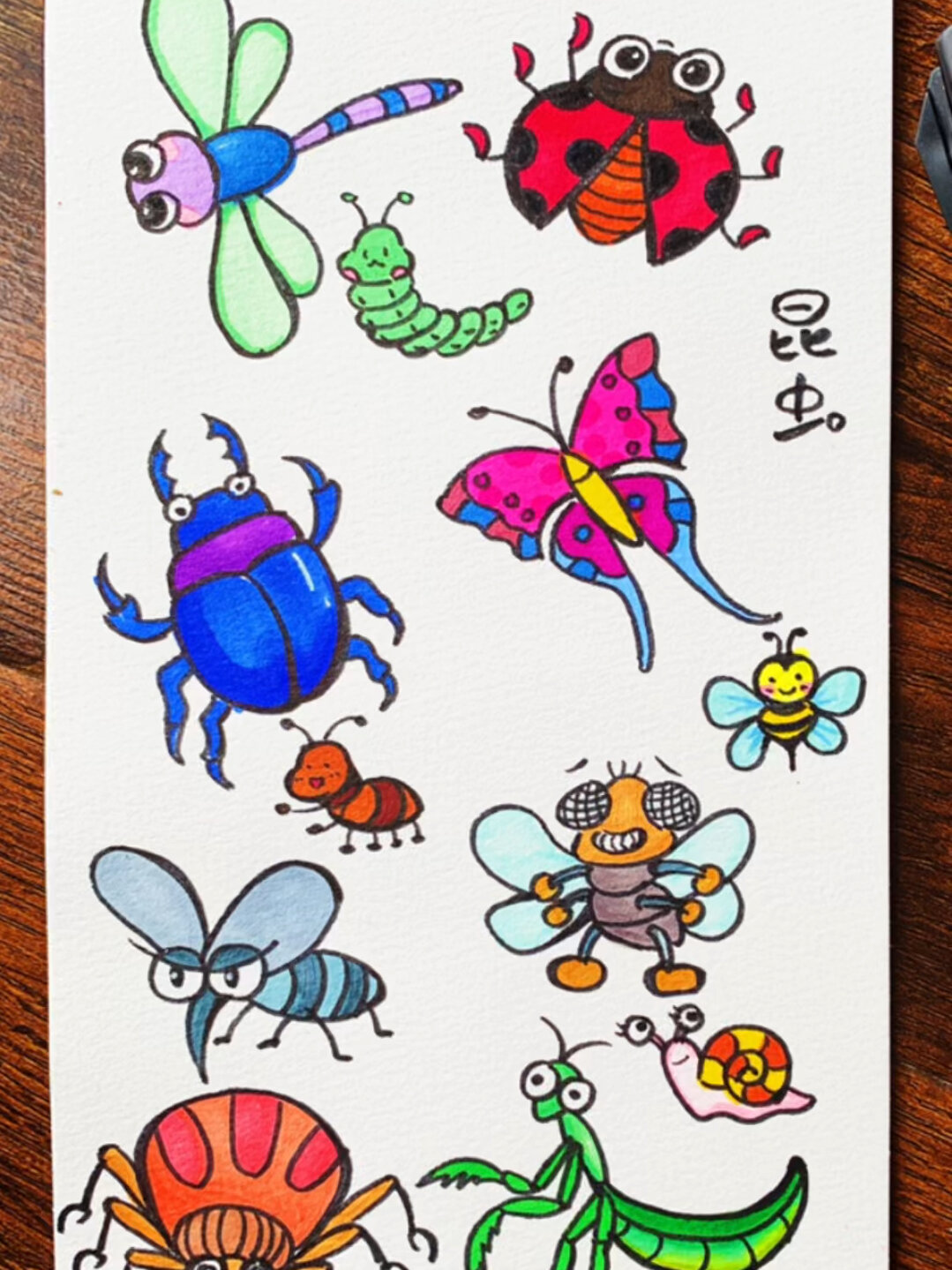 昆虫简笔画聚会图片