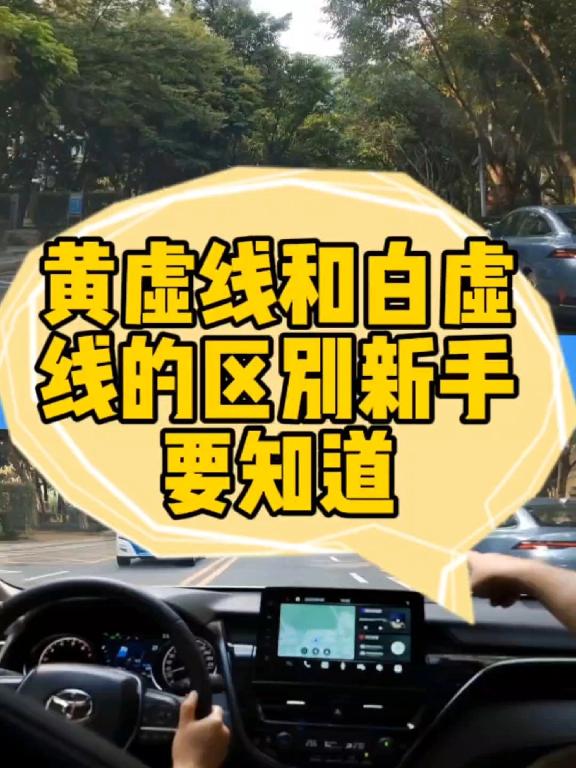 白色虚线和黄色虚线的区别新手要知道
